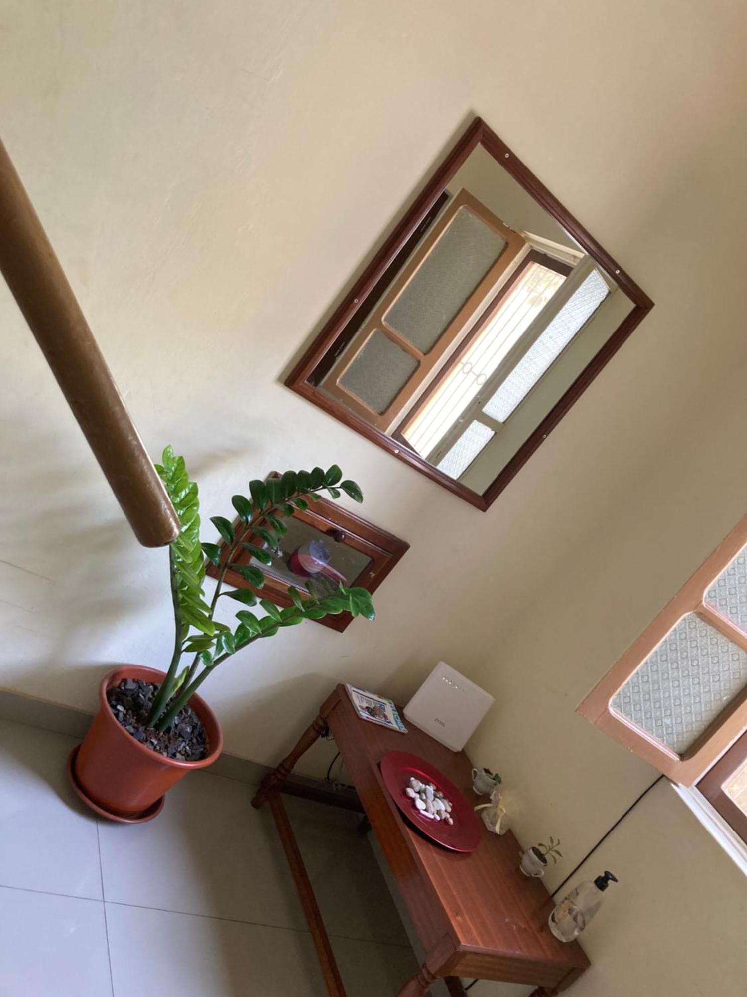 Bed and Breakfast Constanca Retreat Mindelo Zewnętrze zdjęcie